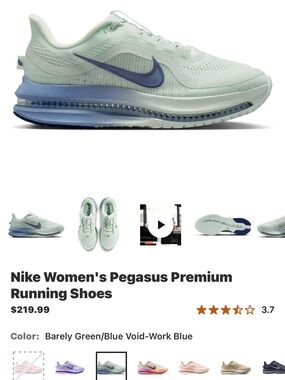 Nike Women's Pegasus Premium Running Shoes - sz 9.5 woman new!!! $220 plus tax!!